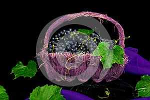 Red wine grapes in voiolet basket on bllack background.