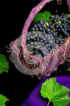 Red wine grapes in voiolet basket on bllack background.