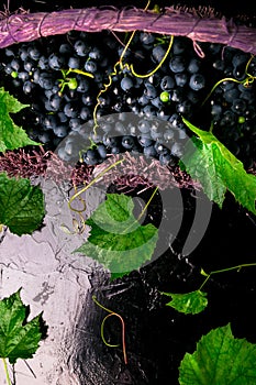 Red wine grapes in voiolet basket on bllack background. Top view. Copy space.