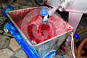 Red wine making process in a factory