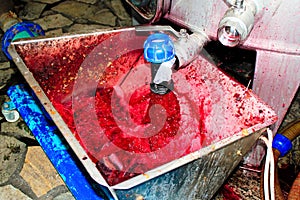 Red wine making process in a factory