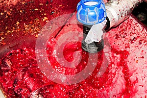 Red wine making process in a factory