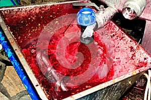 Red wine making process in a factory