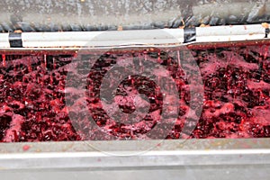 Red wine making process in a factory