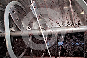 Red wine making process in a factory