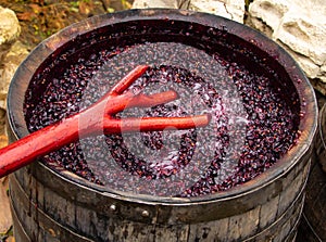 Red wine making in process. work mixing wine in the process of fermentation