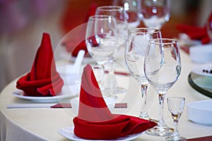 Red wine napkins(click image to zoom)