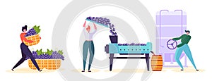 Red Wine Production Factory Character Set. Winery Process Line Infographic Collection. Winemaker Woman Fermentation