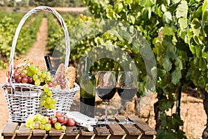 Red wine ripe grapes and picnic basket on table in vineyard