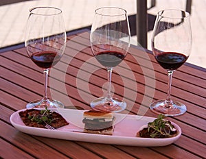 A Red Wine Sampler in Napa Valley