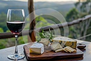 Red wine served with cheese board against mountain landscape