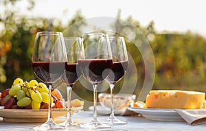 Red wine and snacks served for picnic on wooden table outdoors