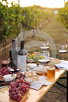 Red wine and snacks served for picnic on wooden table outdoors