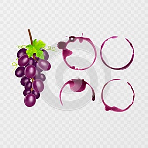 Red wine stains. Traces wine splashes set. Vector illustration
