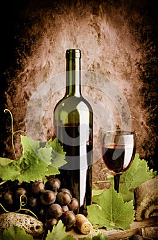 Red wine still life