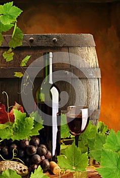 Red wine, vine and cask
