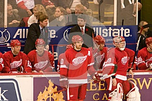 The Red Wings Bench