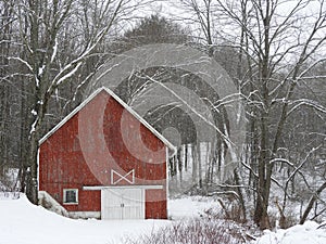 Red wood barn in a winter snow woods landscape