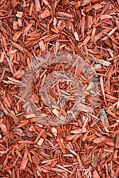 Red woodchips as background.