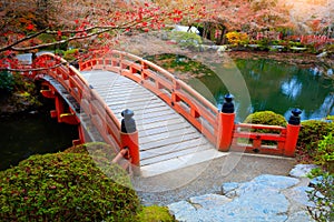 Red wooden bridge in autumn park, Autumn seaon