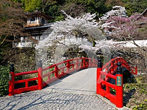 Red wooden bridge near Minoh waterfall