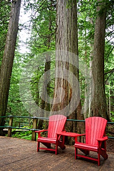 Red wooden chairs on Hemlock Grove Boardwalk trail, Glacier National park, Rocky Mountains, Bristish Columbia Canada