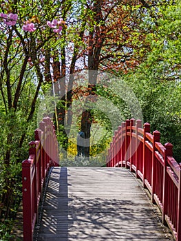 Red wooden crossing bridge and a lion sculpture in a Japanese Garden. Vertical shot