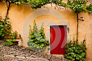 Red Wooden Door Flanked by Green Plants photo