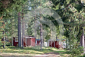 Red wooden finnish cabins cottages in green pine forest near river. Rural architecture of northern Europe