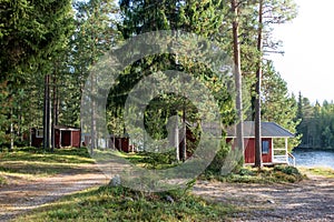 Red wooden finnish cabins cottages in green pine forest near river. Rural architecture of northern Europe