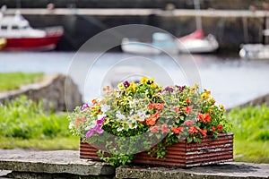 Red wooden flowerbed with colorful flowers of different types in a public garden. Boats out of focus in the background. Summer