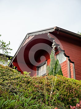 red wooden garden house taken from below with a privacy screen and lots of decorations