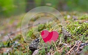 Red wooden heart next to small cones covered with moss on a forest background.
