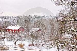 red wooden houses in snow garden in Sweden. House is traditional Swedish color