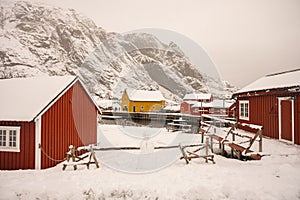 Traditionl Fisherman house named RORBU in Lofoten Arhipelago Norway photo