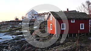 Red wooden Rorbu cabins in the in the Lofoten Islands. Traditional fishing village, with red rorbu houses against snowy