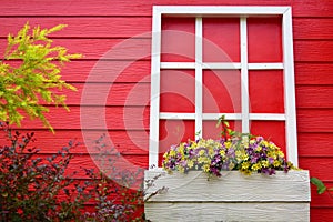 Red wooden wall with white window decorated with Geranium flowers