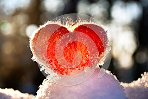 Red wool felted heart stands on the snow and backlighted by setting winter sun