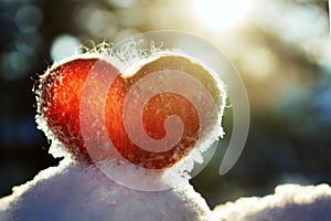 Red wool felted heart stands on the snow and backlighted by setting winter sun