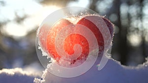 Red woolen heart on the snow and backlighted by the winter setting sun. Slow motion