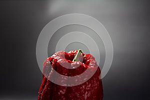 Red wrinkled old sweet bell pepper on a dark background