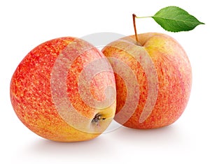 Red yellow apple fruits with green leaf on white