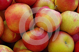 Red yellow apples bunched for market