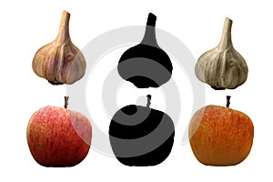 Red yellow apples and garlic vector