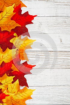 Red and yellow autumn leaves fall background with weathered wood