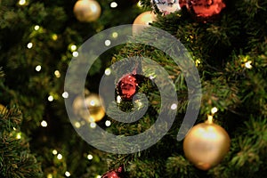 Red and yellow ball on Christmas tree