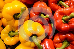 Peppers photo