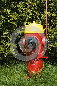 Red yellow and black Fire Hydrant