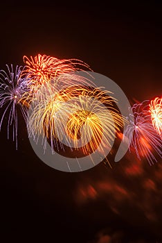 Red, yellow and blue fireworks against a black sky.