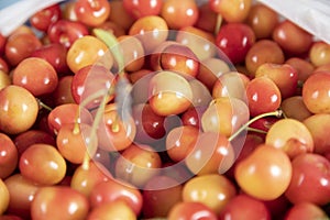 Red and yellow cherries